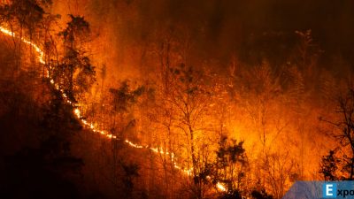 Gelombang Panas Ekstrem dan Perubahan Iklim Picu Kebakaran Hutan di Spanyol & Portugal