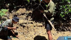 Sedang mencocokkan jejak satwa di pinggir sungai Desa Tetagas