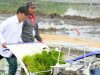 Ganyang Mafia Pangan! Ini Strategi Jitu Mentan Agar Petani Tak Lagi Dirugikan