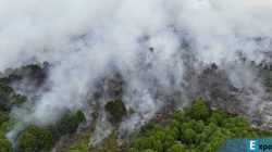 ebakaran hutan dan lahan (Karhutla) melanda Kecamatan Bakongan, Kabupaten Aceh Selatan,