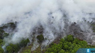 ebakaran hutan dan lahan (Karhutla) melanda Kecamatan Bakongan, Kabupaten Aceh Selatan,