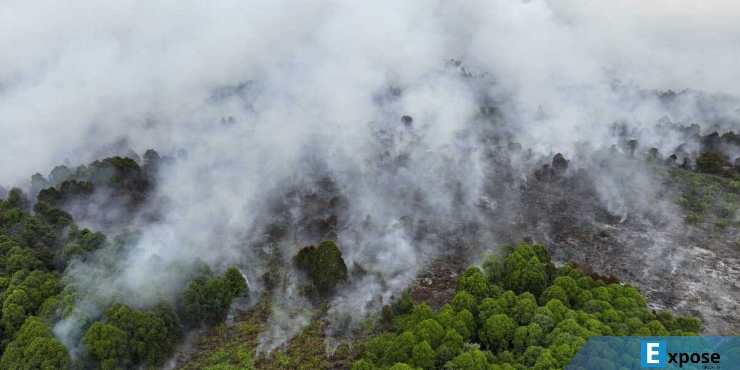 ebakaran hutan dan lahan (Karhutla) melanda Kecamatan Bakongan, Kabupaten Aceh Selatan,