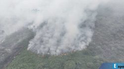 Kebakaran hutan dan lahan (Karhutla)