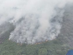Karhutla Hanguskan 177 Hektar Lahan di Sumatera & NTB