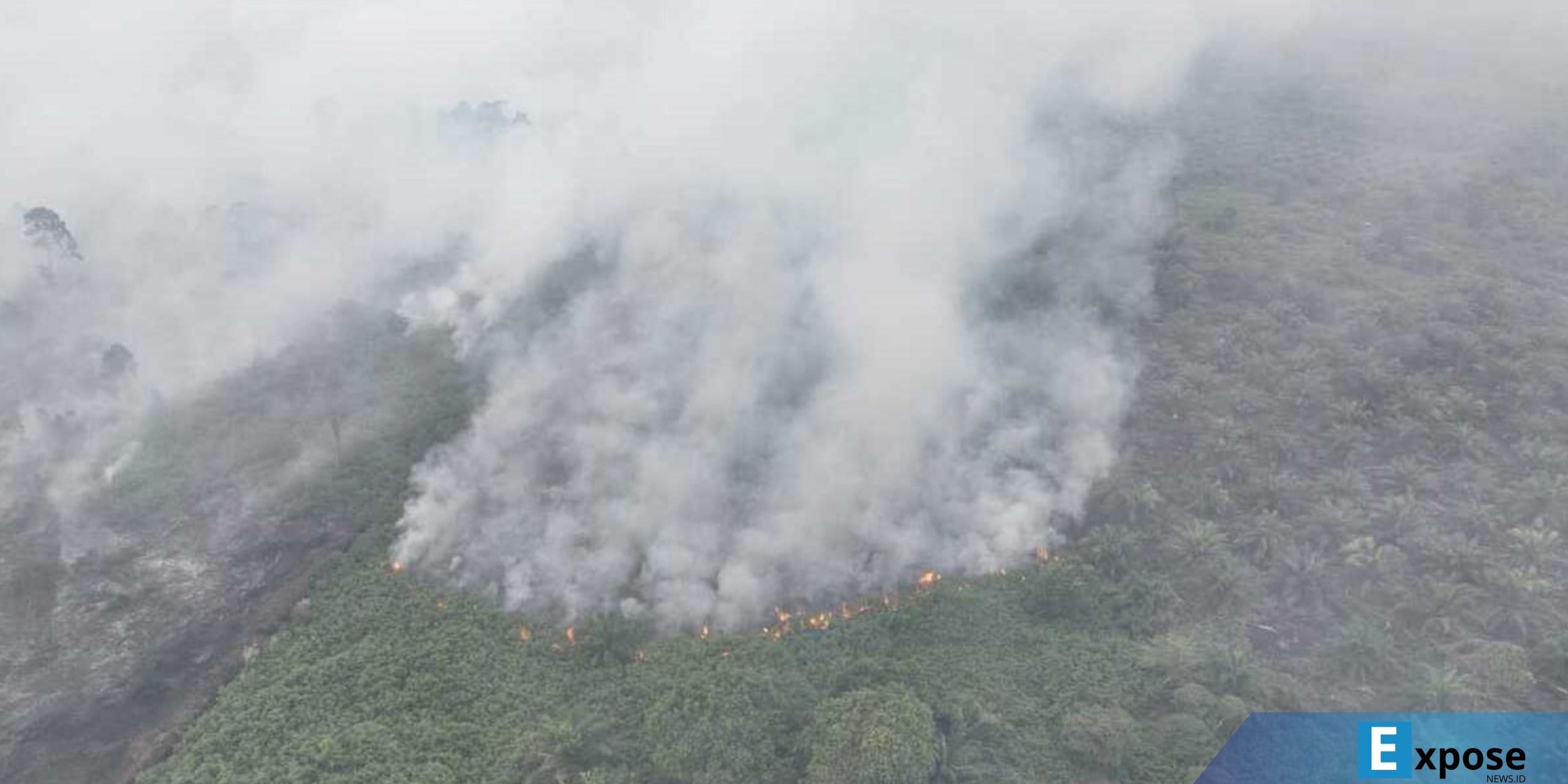 Kebakaran hutan dan lahan (Karhutla)