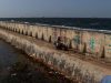 Pengamat Kritik Proyek Tanggul Pantura Rp 1.280 T, Ancaman Kerusakan bagi Pulau Jawa