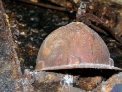 Hanya Tujuh yang Sah! DLHP Purworejo Beberkan Fakta Tambang Ilegal yang Masih Beroperasi