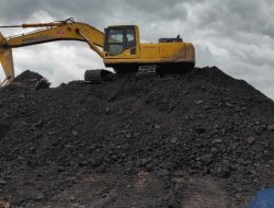 Tuntutan Tegas dari DPR: Perusahaan Tambang yang Abai Reklamasi Harus Dicabut Izinnya