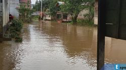 banjir rendam kalteng