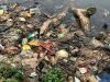 Tumpukan sampah di perairan Situ Cilodong, Kalibaru, Kota Depok