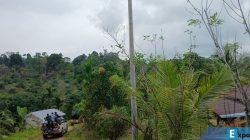 Tiang listrik. PLN Jelaskan Mengapa Pindah Tiang Listrik Harus Bayar