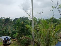 Soal Tarif Pindah Tiang Listrik yang Capai Jutaan Rupiah, Ini Penjelasan PLN