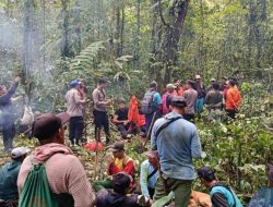 Ditemukan Lemas, Pria di Banyuwangi Ditemukan Tim SAR Usai Hilang di Hutan Saat Mencari Pakis