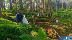 Hutan lindung di Kabupaten Buleleng, Provinsi Bali.