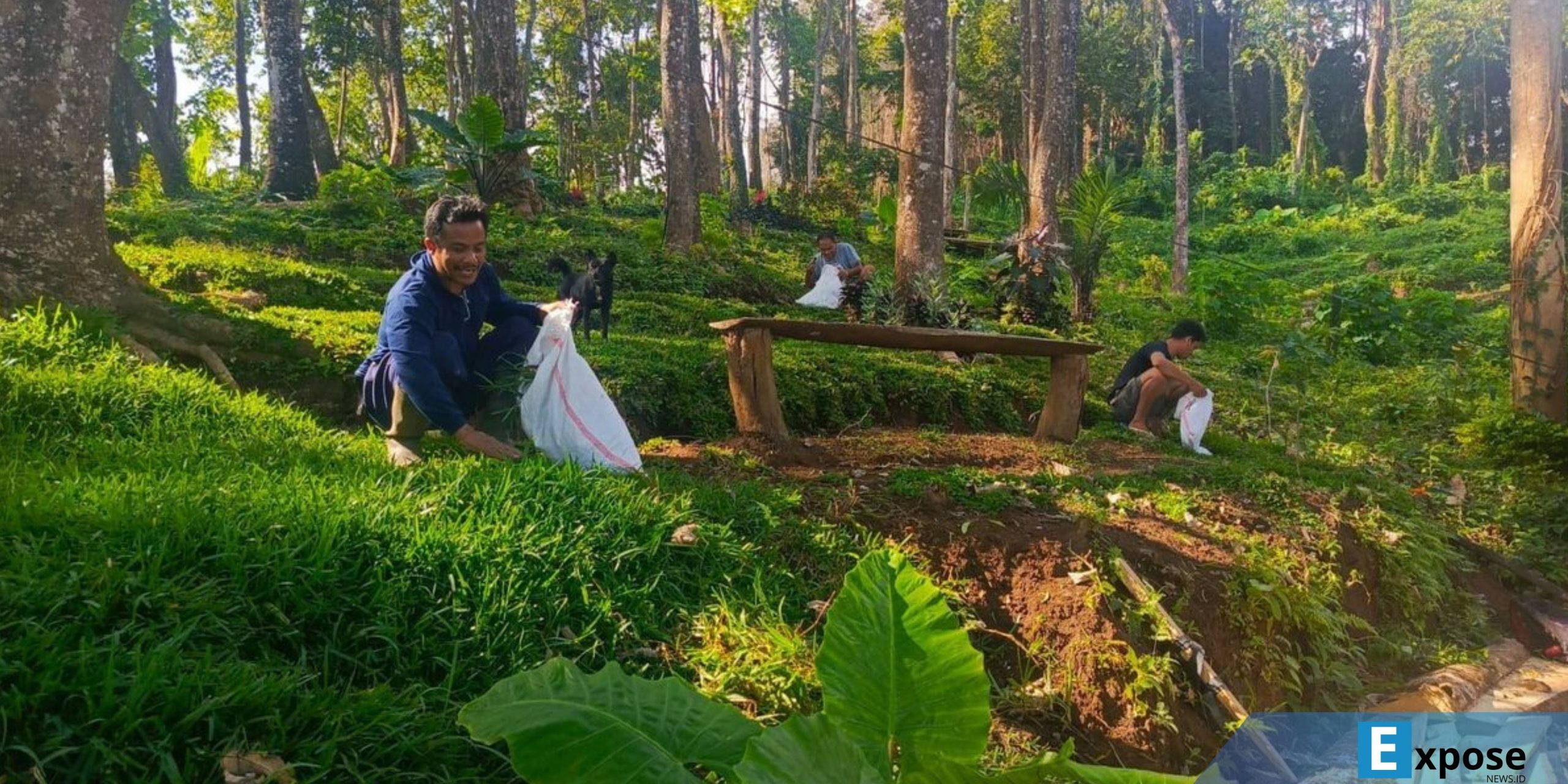 Hutan lindung di Kabupaten Buleleng, Provinsi Bali.