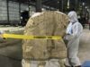 Radioaktif Mengancam Cikande! 248 Ton Material Terkontaminasi Berhasil Diamankan