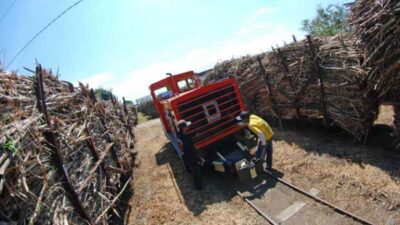 Petani Tebu Blora Khawatirkan Hasil Panen Pasca-Rusaknya Mesin Giling PT GMM