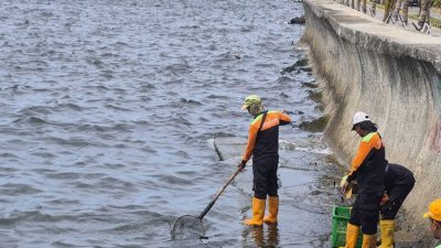 Warga Cemas, Ancaman Banjir Besar Mengintai Jika Pembatas Laut Pantai Mutiara Amblas