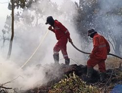 Mudik Terganggu Karhutla, Jarak Pandang di Jalan Lintas Riau-Sumut Cuma 10 Meter