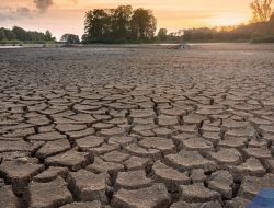 BRIN: Musim Kemarau 2026 Berpotensi Lebih Panjang Akibat El Nino “Godzilla”