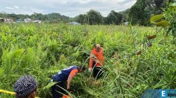 Dua Anak Temukan Potongan Tubuh dalam Karung di Samarinda, Polisi Lakukan Olah TKP