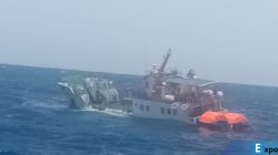 KM Gandha Nusantara 17 Dilaporkan Mati Mesin, Pelni Hubungi Basarnas