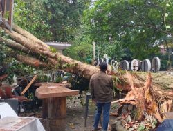 Hujan Angin Landa Bandung, 1 Tewas Tertimpa Pohon di Bojong Raya
