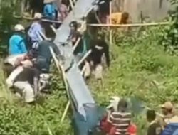 Insiden Viral di Wonogiri: Ikan Tebaran 250 Kg untuk Ekosistem Langsung Ditangkap Warga