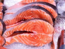 Strategi Nutrisi Norwegia di Piala Dunia 2026: Kirim 1.000 Kg Makanan dari Kampung Halaman